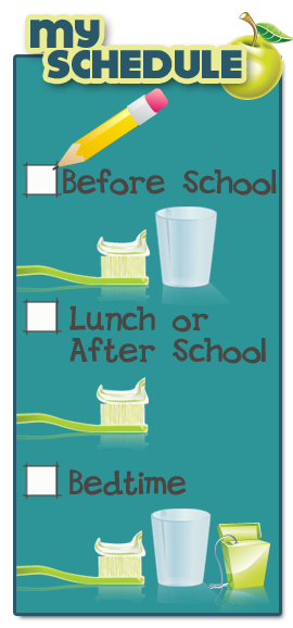 brushing schedule